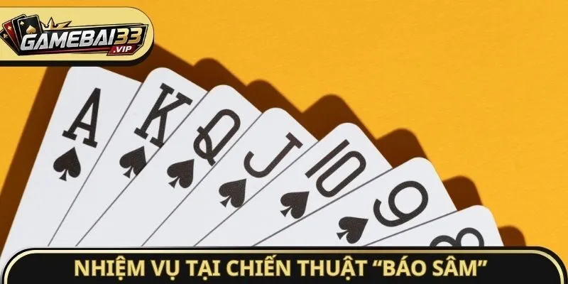 Nhiệm vụ phải thực hiện tại chiến thuật “Báo Sâm”